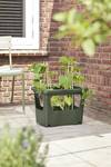 green basics stack & grow large blad groen